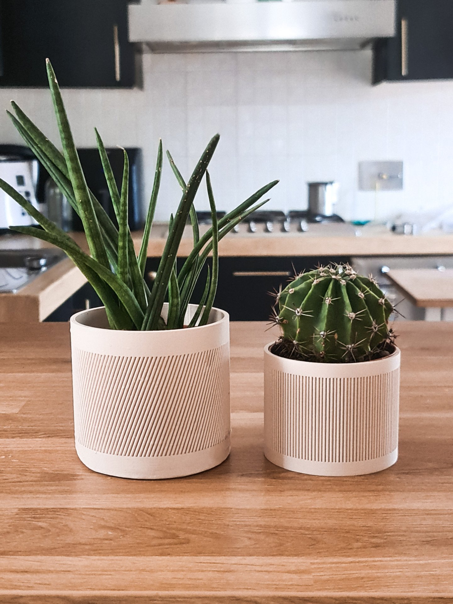 Vaso Linear