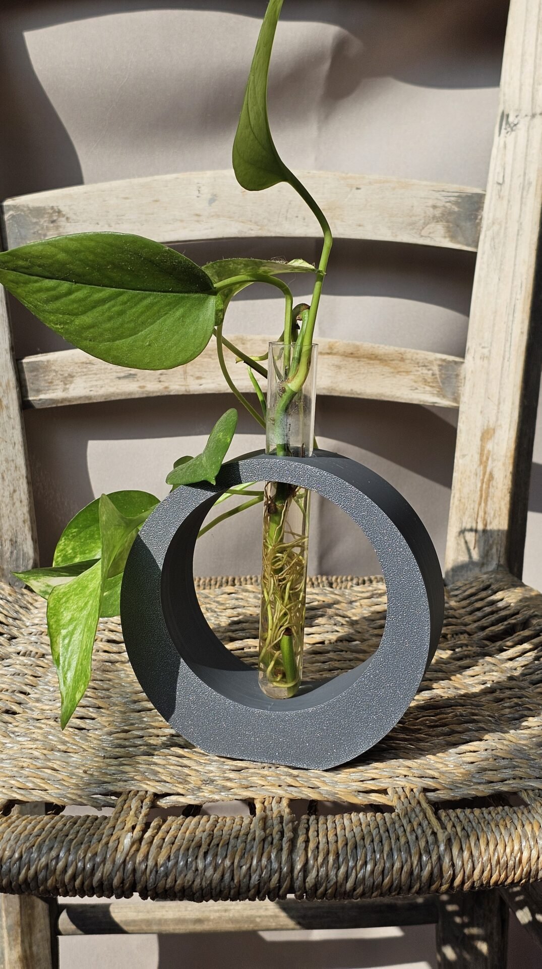 Vaso Portaprovette Circolare